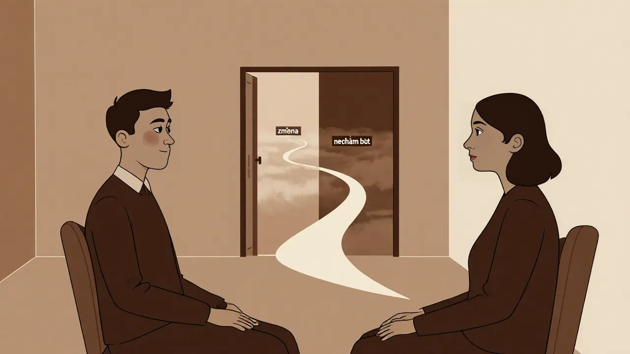 Jak pracovat s motivací v psychoterapii: Motivační prvky a ambivalence