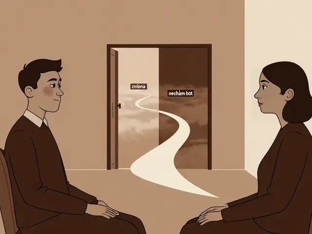 Jak pracovat s motivací v psychoterapii: Motivační prvky a ambivalence