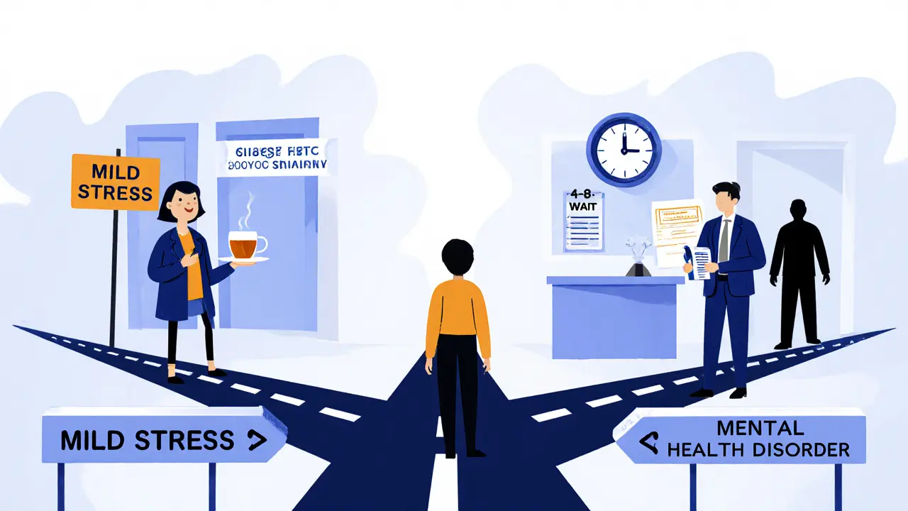 Klient stojí na rozcestí mezi lehkým stresem a duševní poruchou.