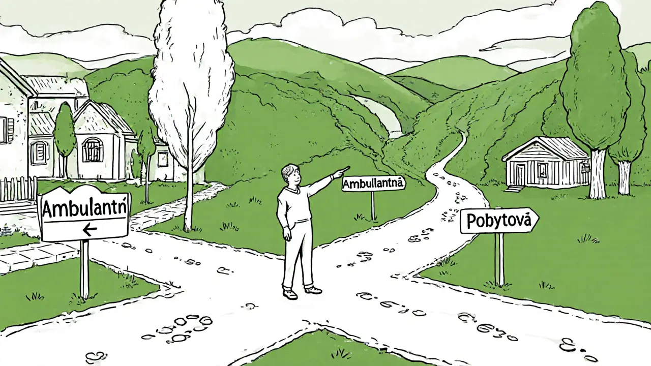 Osoba stojí na křižovatce dvou cest k léčbě závislosti, jedna skrze město, druhá do klidného údolí.