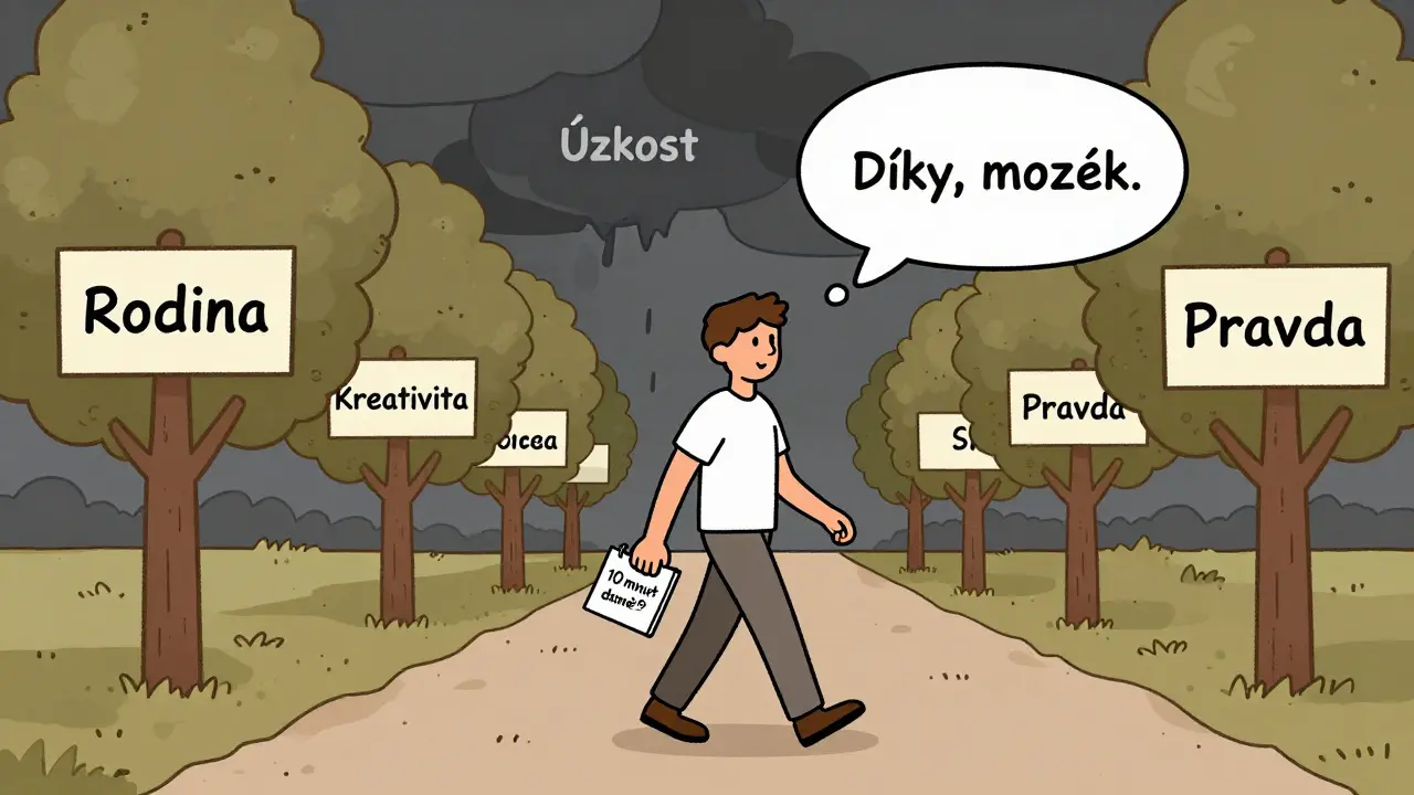 Člověk jde cestou s hodnotami, zatímco úzkost zůstává za ním.