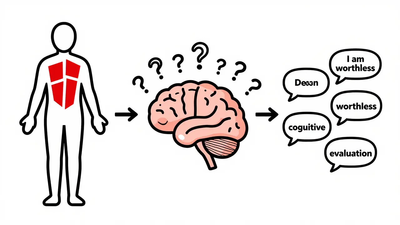 Ilustrace biopsychosociálního modelu bolesti